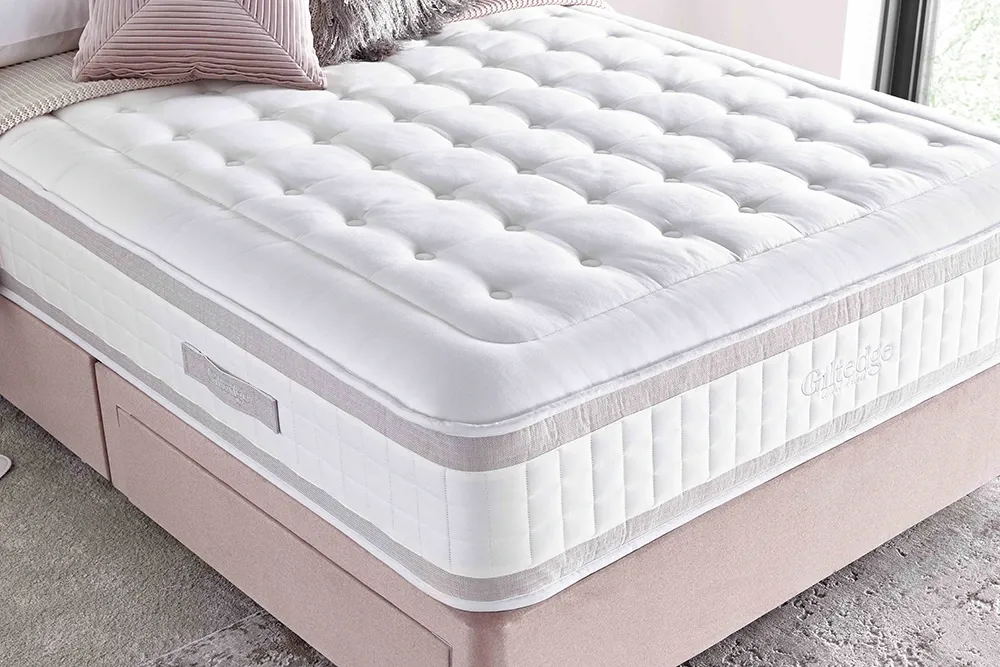 Shine 2000 - Image 2